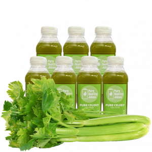 250ml celery juice plan 7 bottles